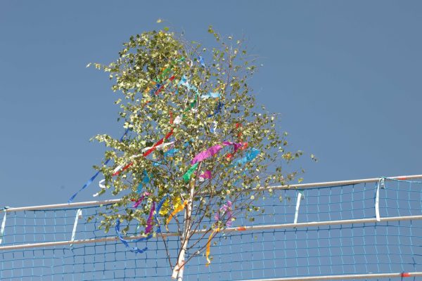 PIA Architekten GmbH - Ines Grübel - Gerhard Leicht, Kita Bürstadt, Richtfest