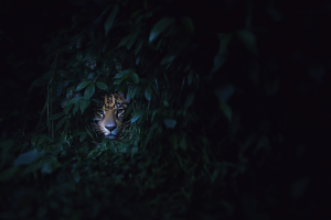 PIA-Architekten-GmbH Ines Gruebel Gerhard Leicht Karlsruhe Mannheim Landau